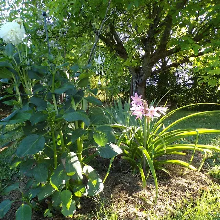 Jardins De La Dame Blanche * Chenevelles